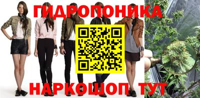 трава Гатчина