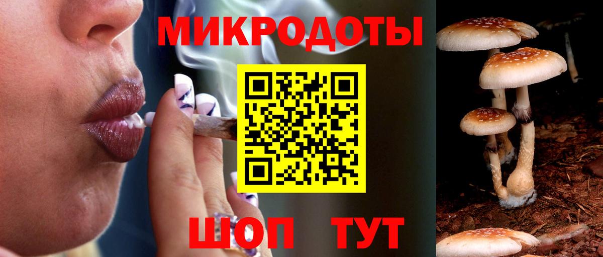Галлюциногенные грибы мицелий  Вход с VPN  Калининград 