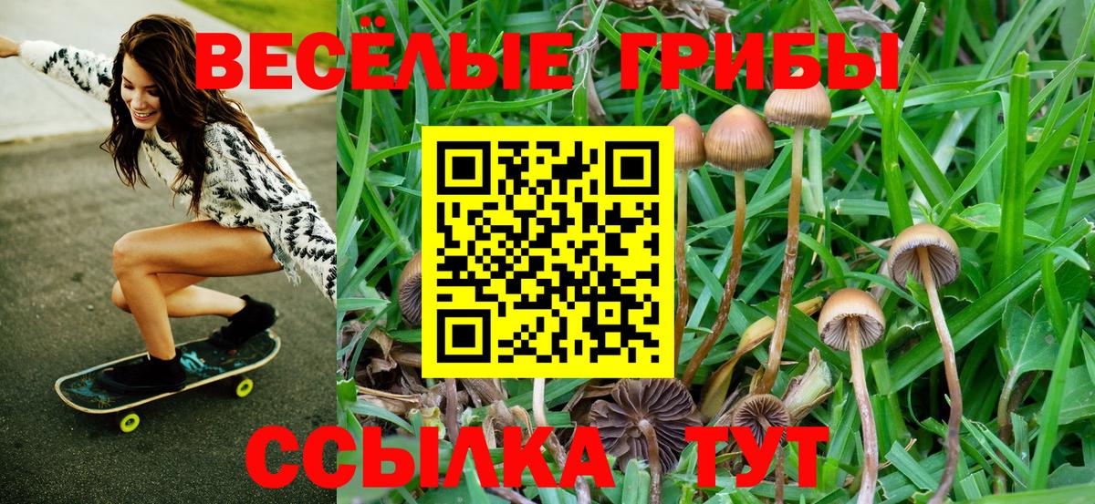 Галлюциногенные грибы GOLDEN TEACHER Калининград